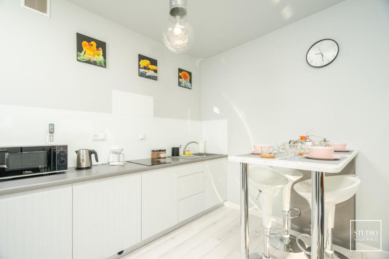 شقة فادوفيتسه  في Apartament Modern المظهر الخارجي الصورة